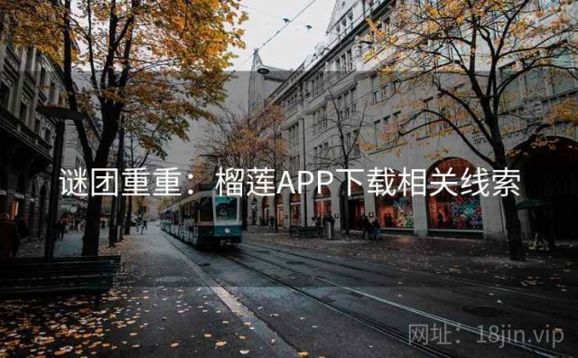 谜团重重：榴莲APP下载相关线索