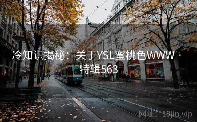 冷知识揭秘：关于YSL蜜桃色WWW · 特辑563