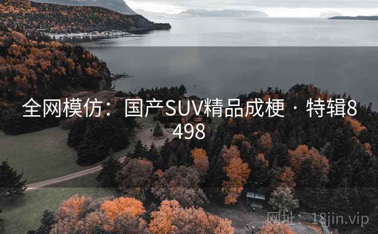 全网模仿：国产SUV精品成梗 · 特辑8498