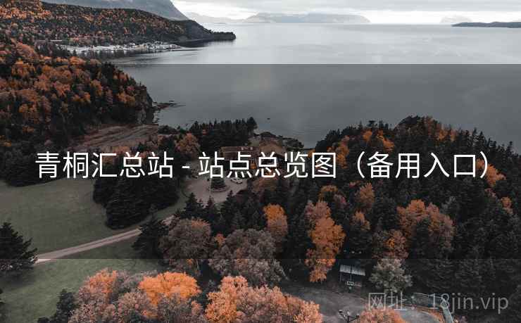青桐汇总站 - 站点总览图（备用入口）