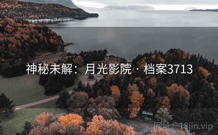 神秘未解：月光影院 · 档案3713