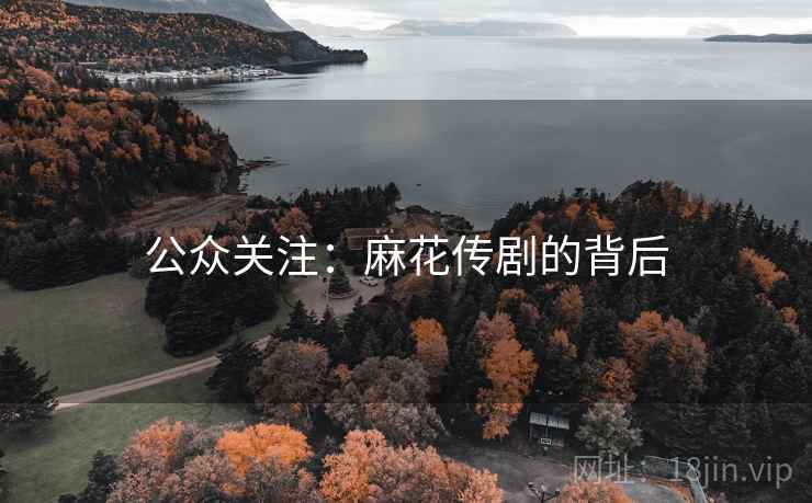 公众关注：麻花传剧的背后